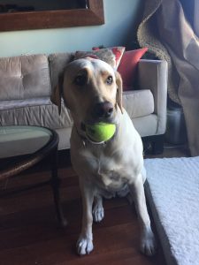 Lets Play Ball